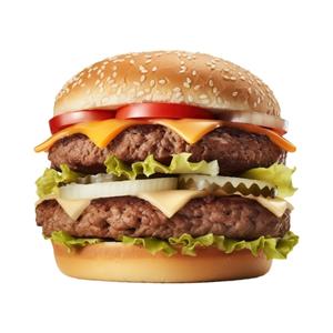 Gourmet Burger