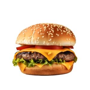 Special Burger Meal